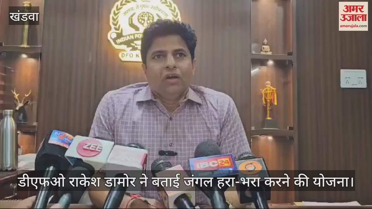 Thousands acres of forest were freed with two dozen JCBs, will be green again in three years