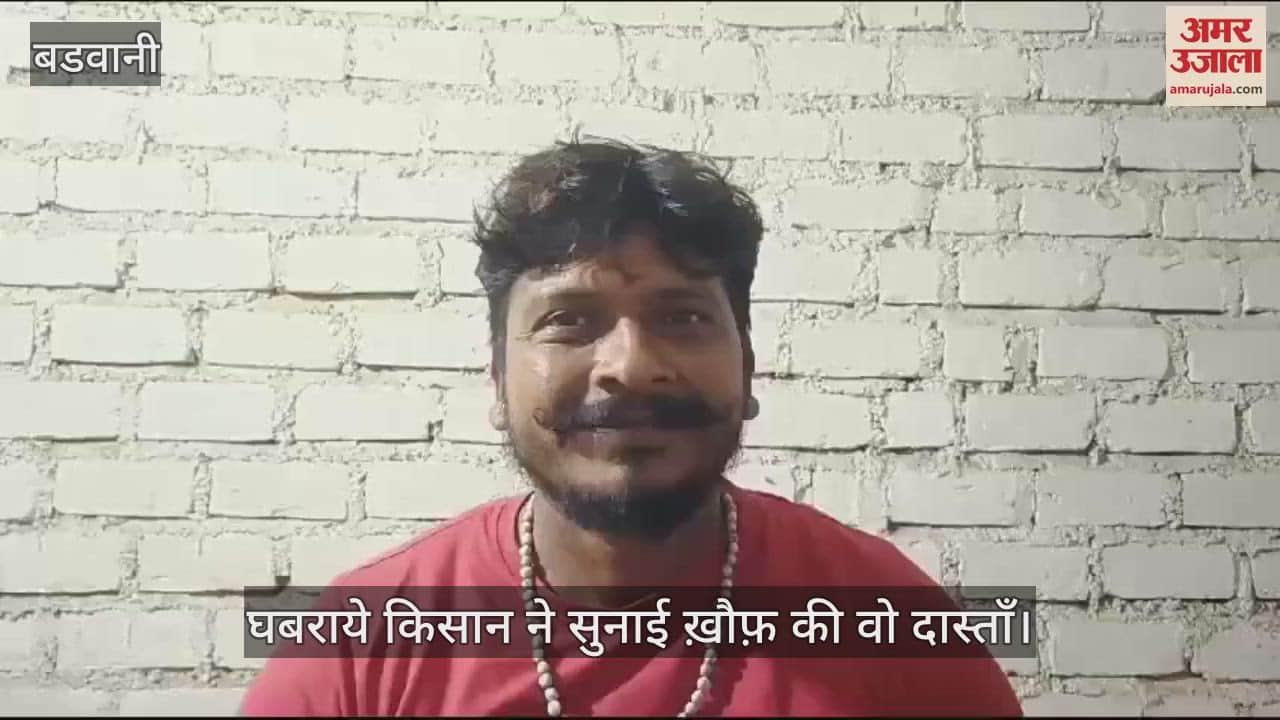 Two leopard cubs appeared in front of a farmer who had come to see his crop