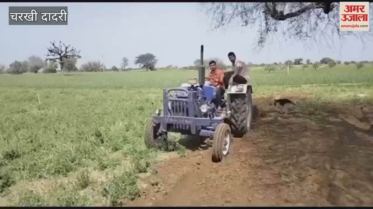 VIDEO : farmer drove a tractor in Lad village over crops destroyed by hailstorm in Dadri