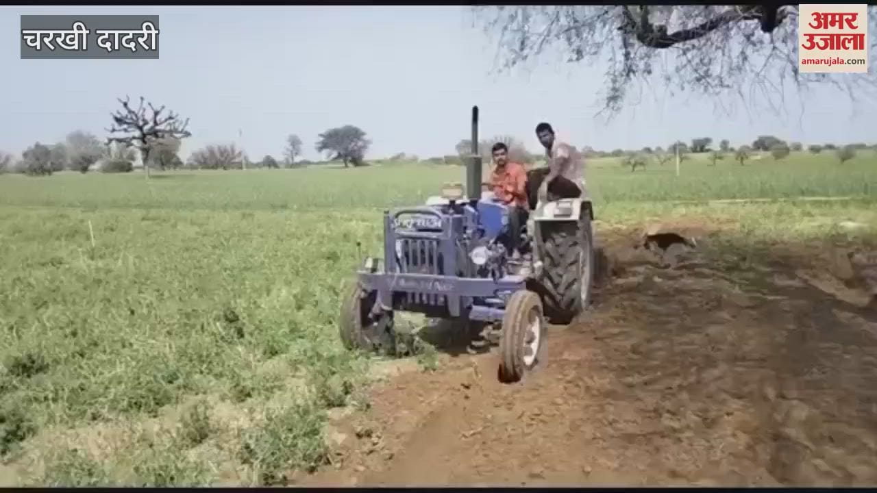 VIDEO : farmer drove a tractor in Lad village over crops destroyed by hailstorm in Dadri