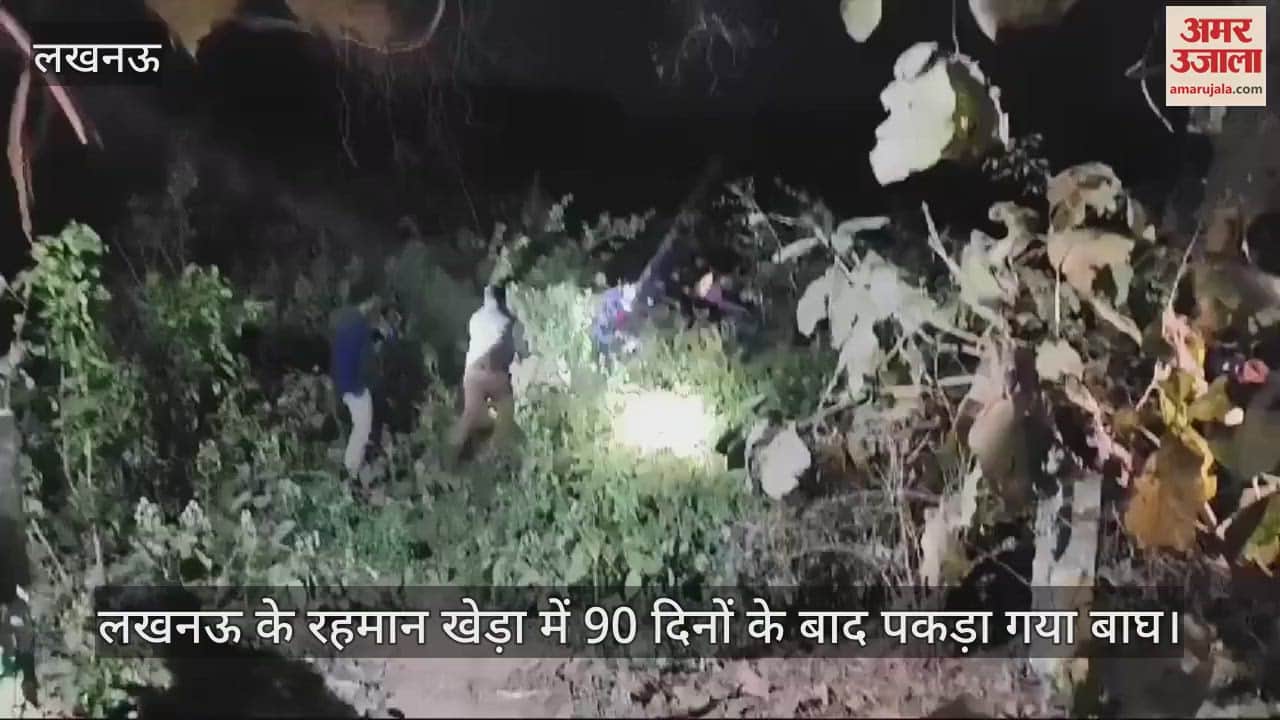 VIDEO : लखनऊ के रहमान खेड़ा में 90 दिनों के बाद पकड़ा गया बाघ
