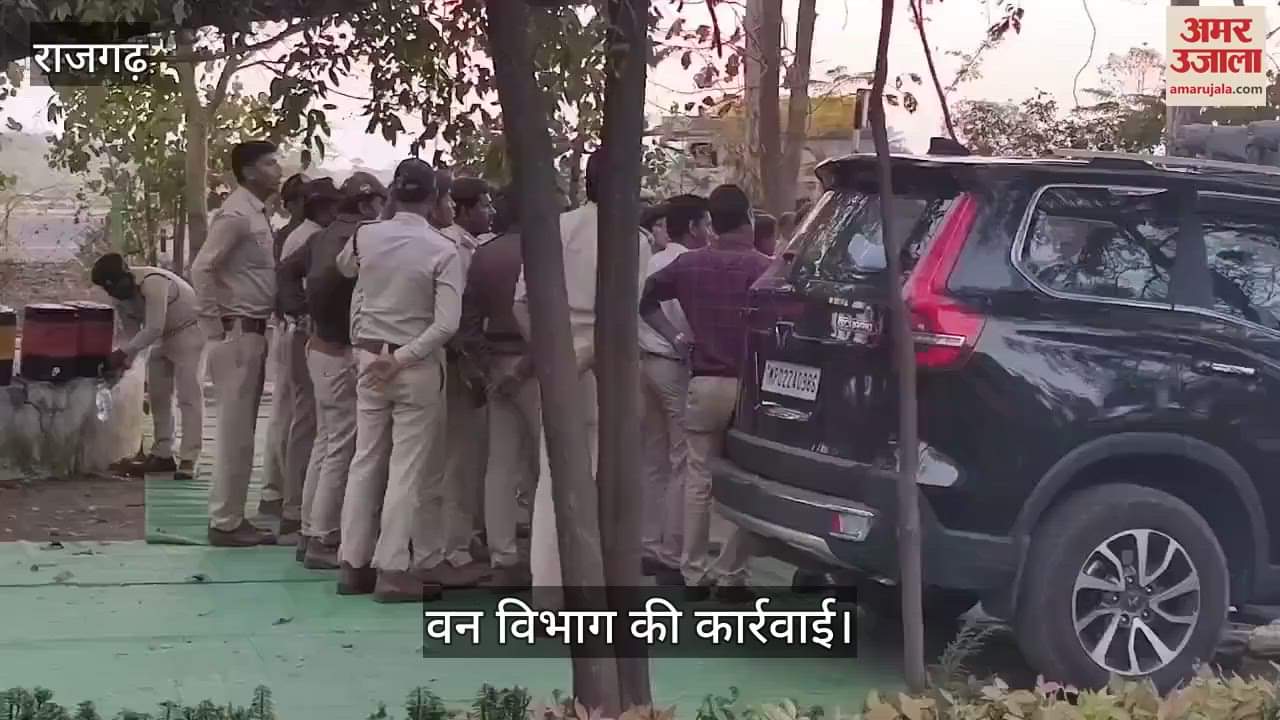 the forest department of 3 districts took action in Rajgarh On the lines of the film Pushpa