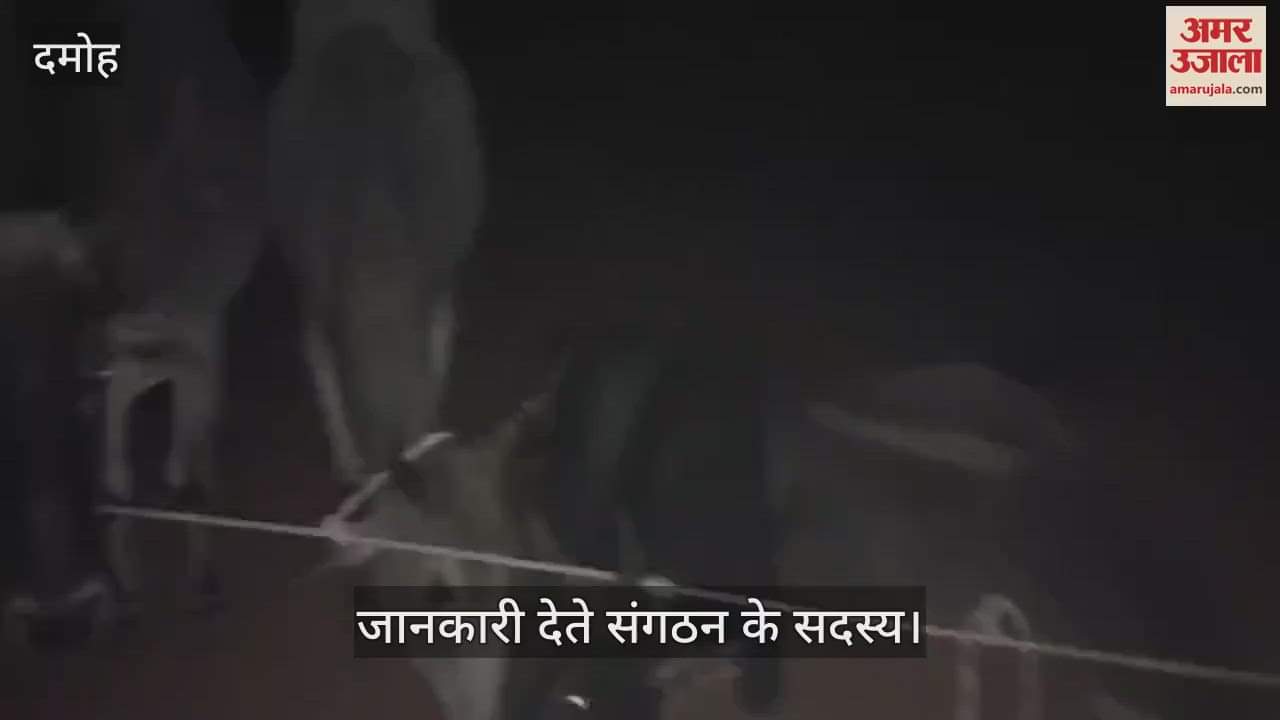 Bhagwati Manav Kalyan Sansthan caught a container full of illegal cattle