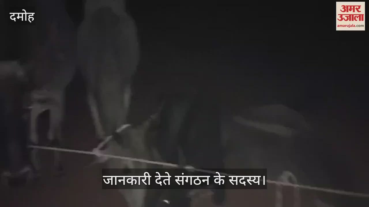 Bhagwati Manav Kalyan Sansthan caught a container full of illegal cattle