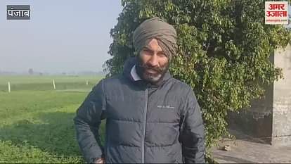वीडियो: कीर्ति किसान यूनियन के प्रांतीय महासचिव ने AAP BJP की B टीम कहा वीडियो: कीर्ति किसान यूनियन के प्रांतीय महासचिव ने AAP BJP की B टीम कहा