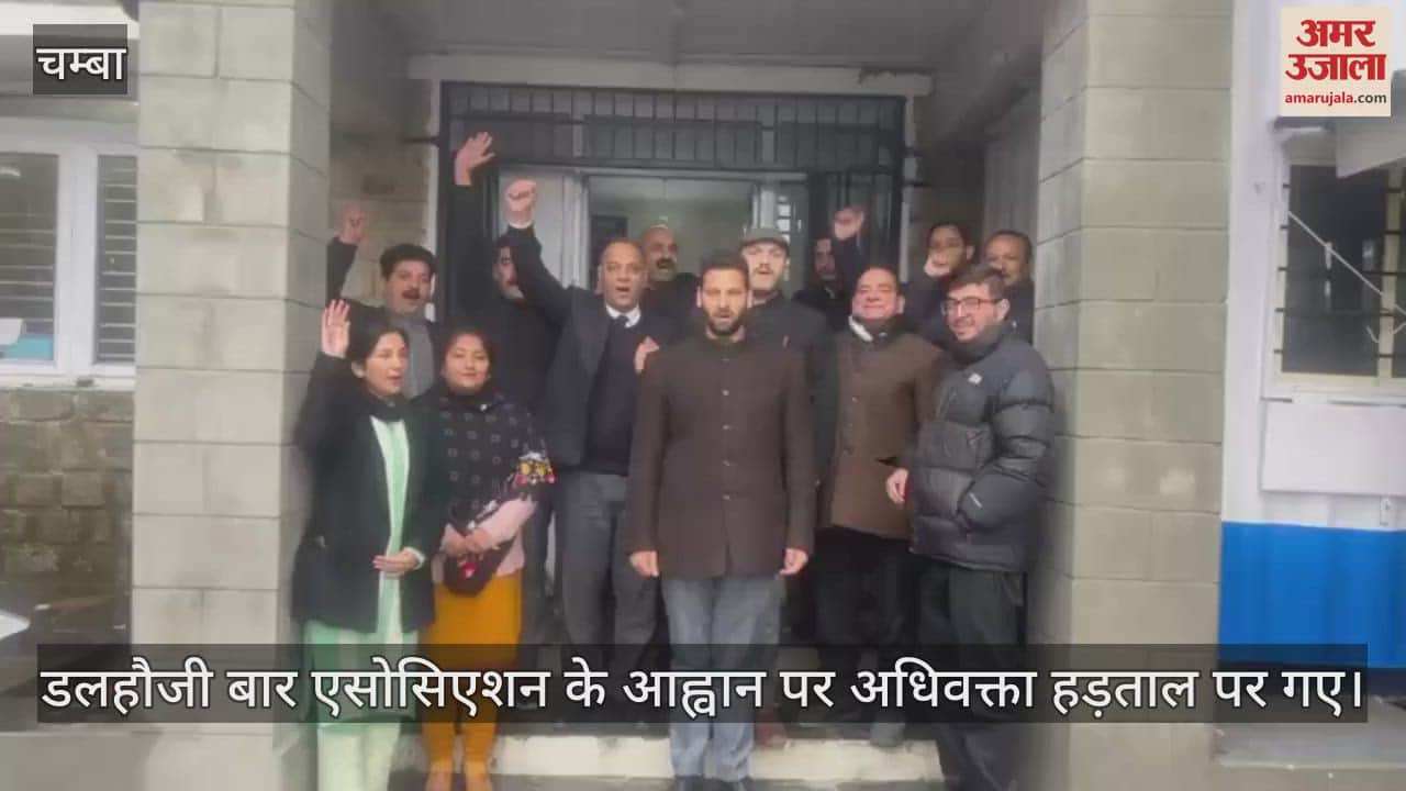 VIDEO : Advocates went on strike on the call of Dalhousie Bar Association