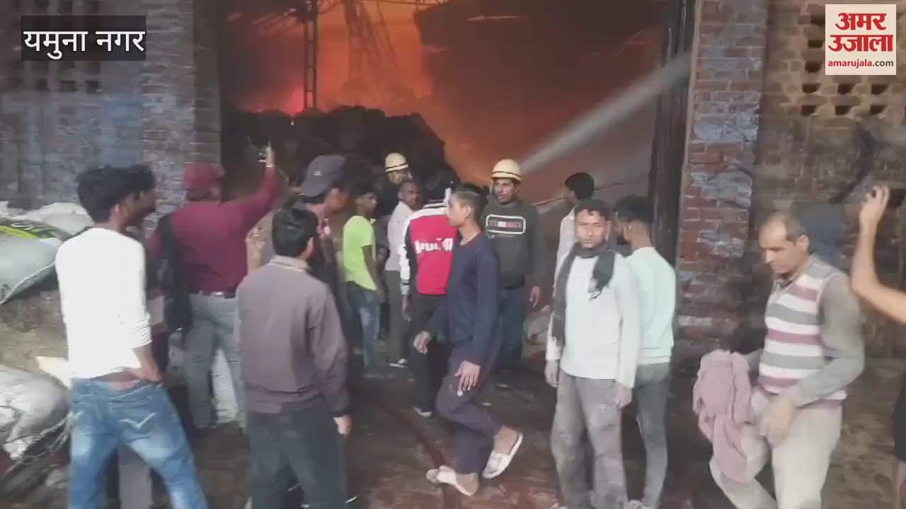 VIDEO : Huge fire in Yamuna Nagar's sawdust factory, loss of lakhs