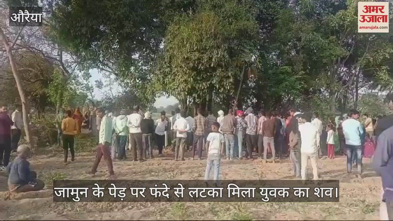 VIDEO : औरैया में जामुन के पड़े पर फंदे से लटका मिला युवक, शराब पीने व जुआ खेलने का था आदी, जांच में जुटी पुलिस