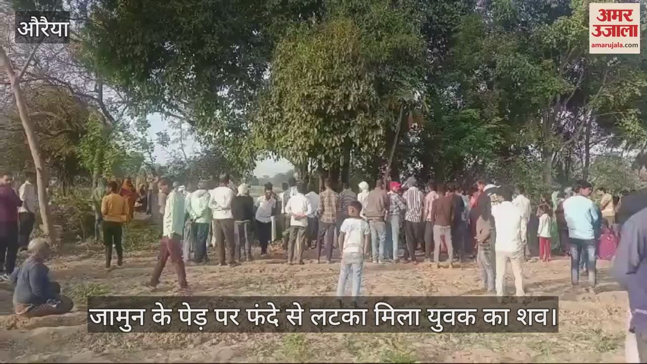 VIDEO : औरैया में जामुन के पड़े पर फंदे से लटका मिला युवक, शराब पीने व जुआ खेलने का था आदी, जांच में जुटी पुलिस