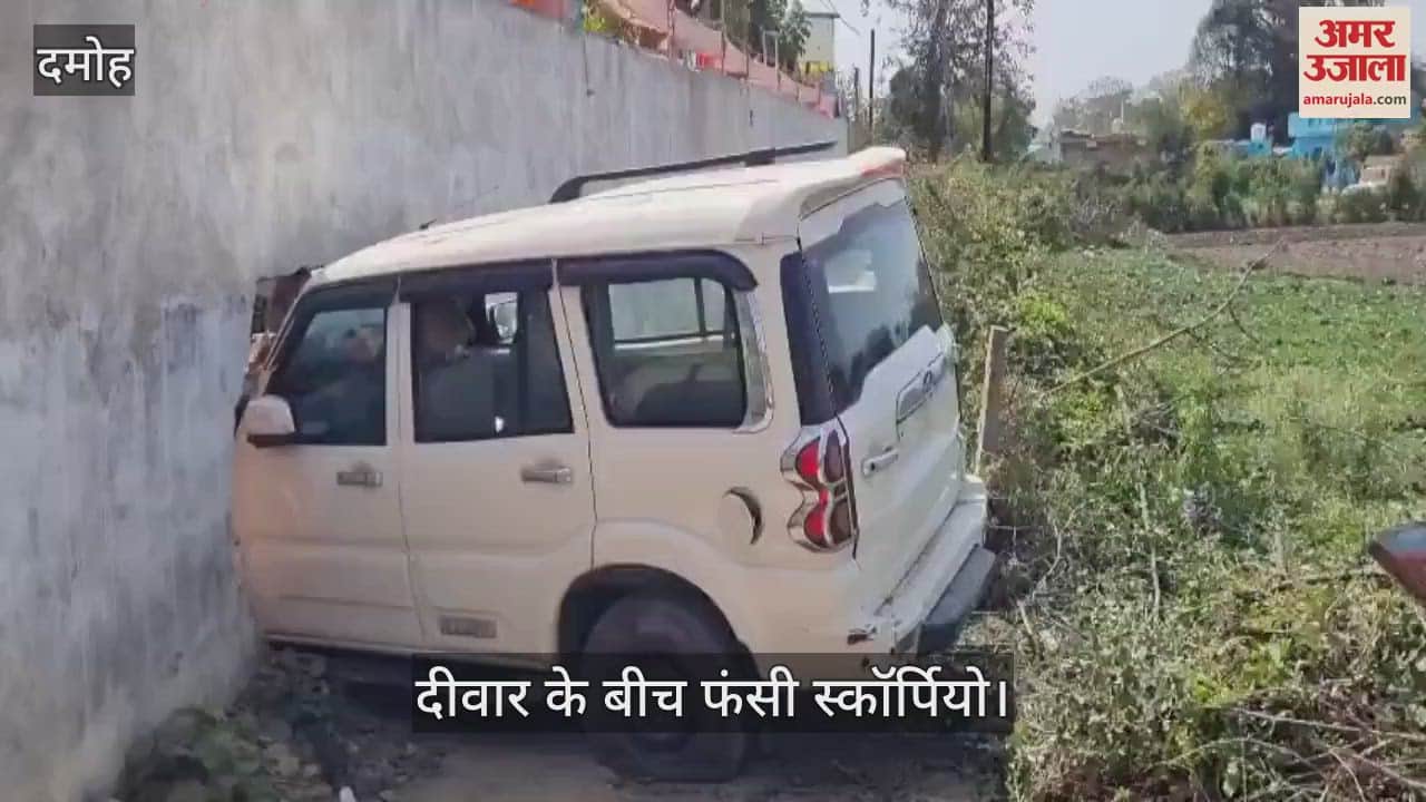 Woman dies after being hit by Scorpio, accident while returning home from work