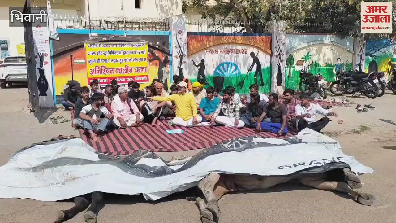 VIDEO : Cow protectors sit on dharna accusing Bhiwani Municipal Council and veterinary doctors of negligence