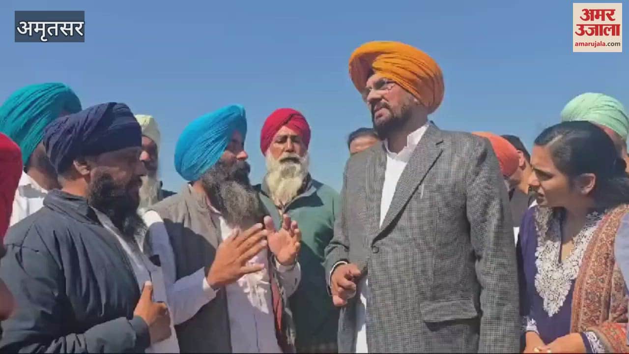 VIDEO : Punjab Cabinet Minister Kuldeep Dhaliwal took stock of the damaged crops