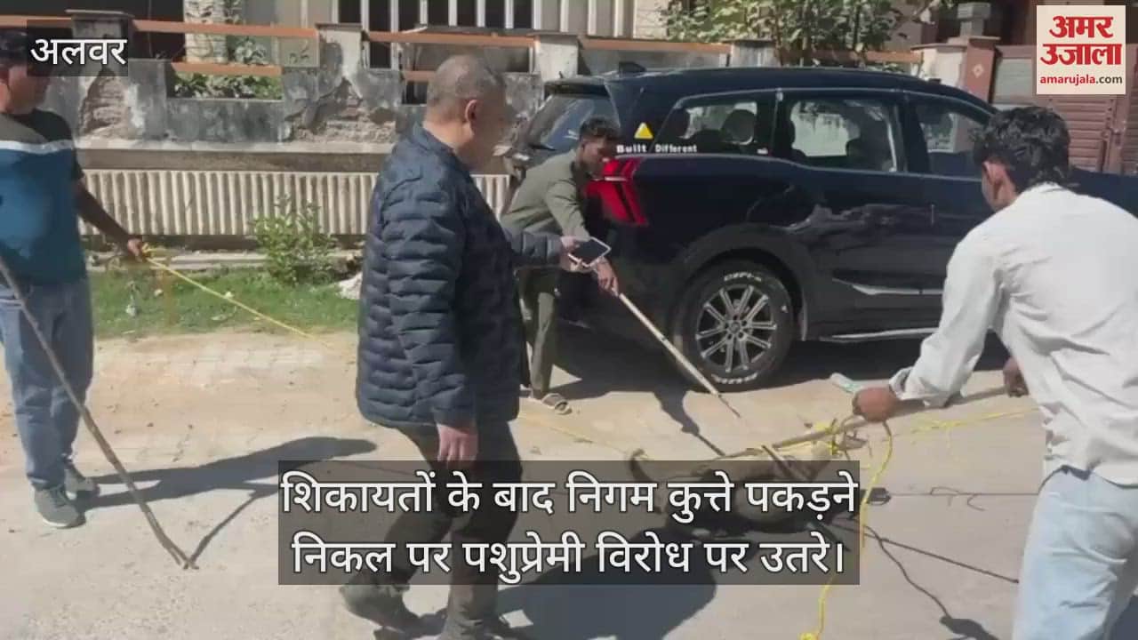 Alwar News: Protest against the municipal corporation team that came to catch stray dogs