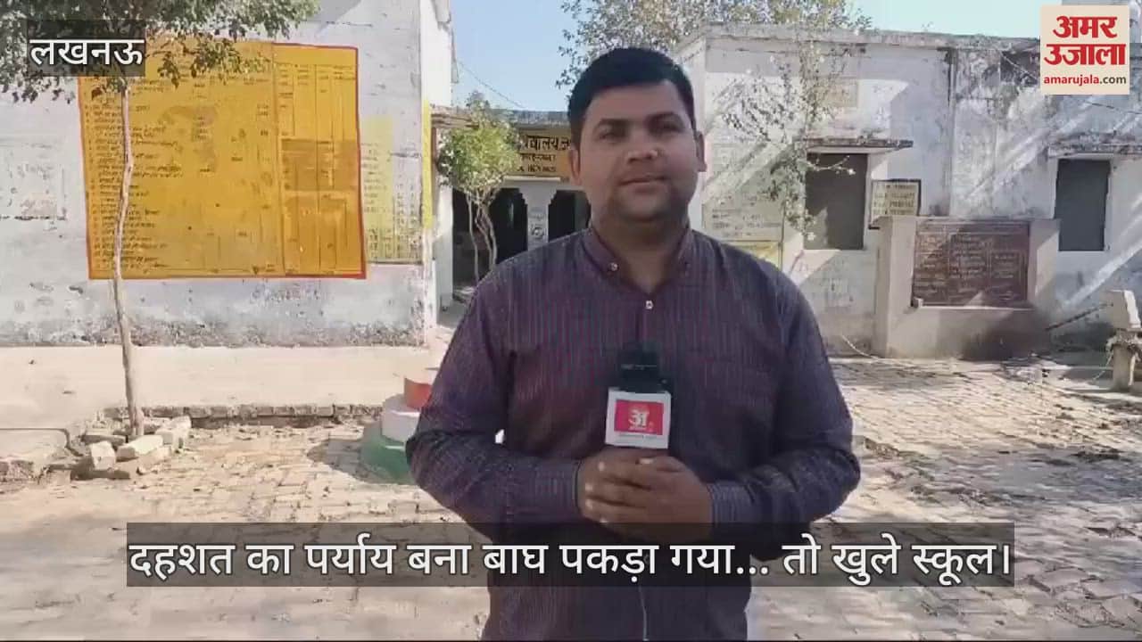VIDEO : दहशत का पर्याय बना बाघ पकड़ा गया... तो खुले स्कूल