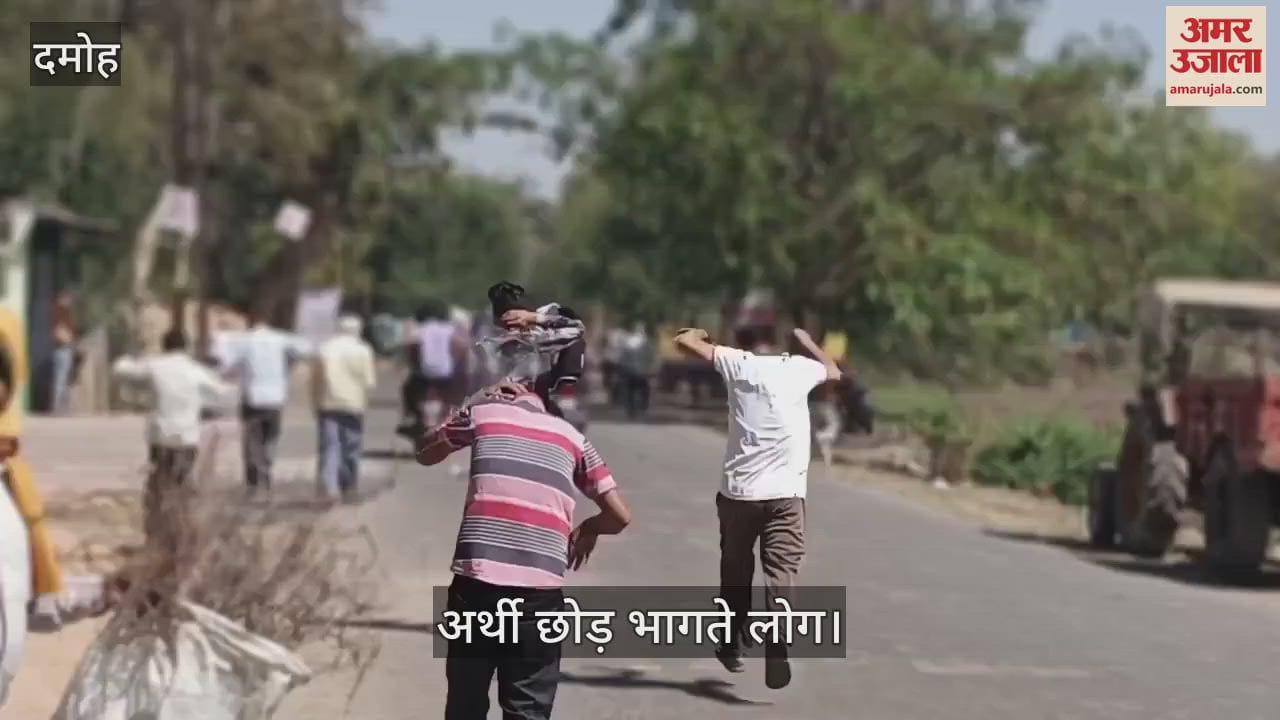 Bees attack during funeral procession