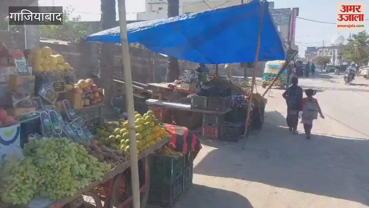 VIDEO : Watermelon from Andhra Pradesh became people's favourite in the month of Ramzan