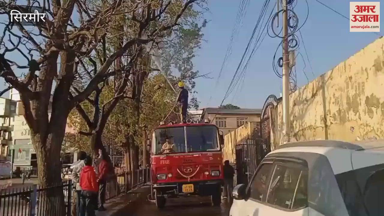 VIDEO : A dry tree caught fire in Nahan accident averted