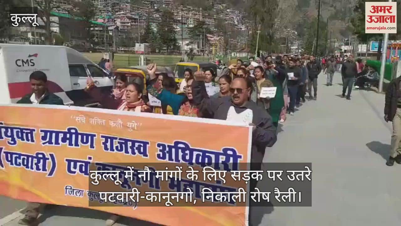 VIDEO : Patwaris and kanungos took to the streets in Kullu for nine demands and held a protest rally