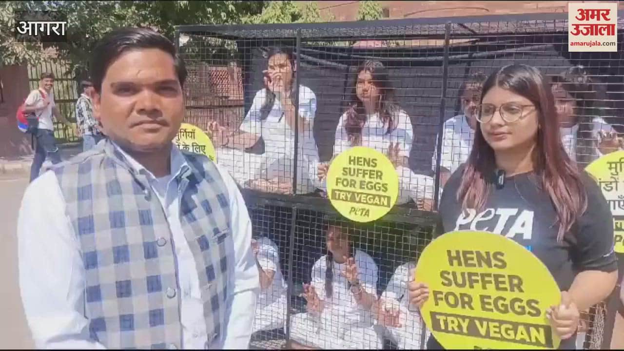 VIDEO : pain of hens which no one understands that's why this protest was held by closing the cages