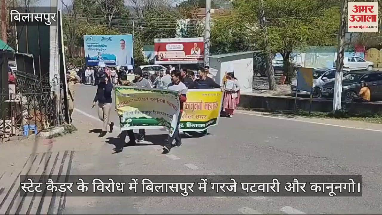 VIDEO : Patwari and Kanungo roared in Bilaspur against the state cadre