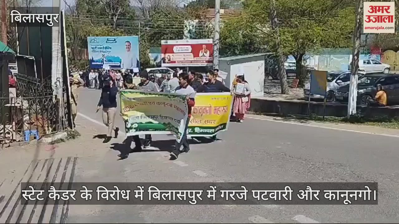 VIDEO : Patwari and Kanungo roared in Bilaspur against the state cadre