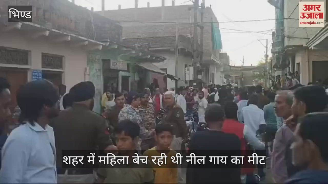 Bhind News Woman was selling Nilgai meat in city police recovered 30 kg of meat