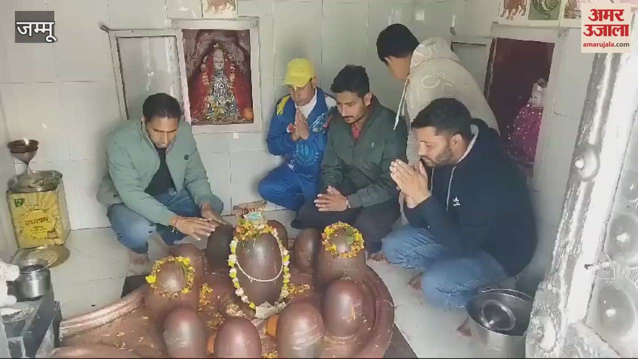 VIDEO : On the occasion of Mahashivratri, a huge crowd of devotees gathered at the Doshala temple in Chinani and a grand feast was organized