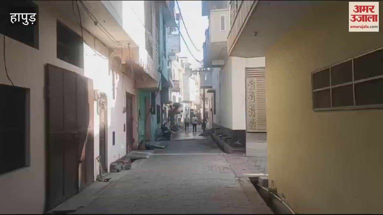 VIDEO : Monkeys were not caught even after laying traps in Hapur they attacked team