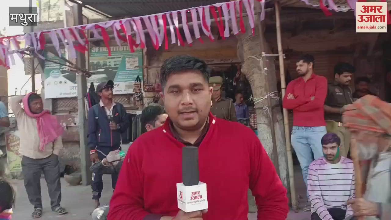 VIDEO : Laddu Holi 2025 Large numbers of devotees are reaching Barsana