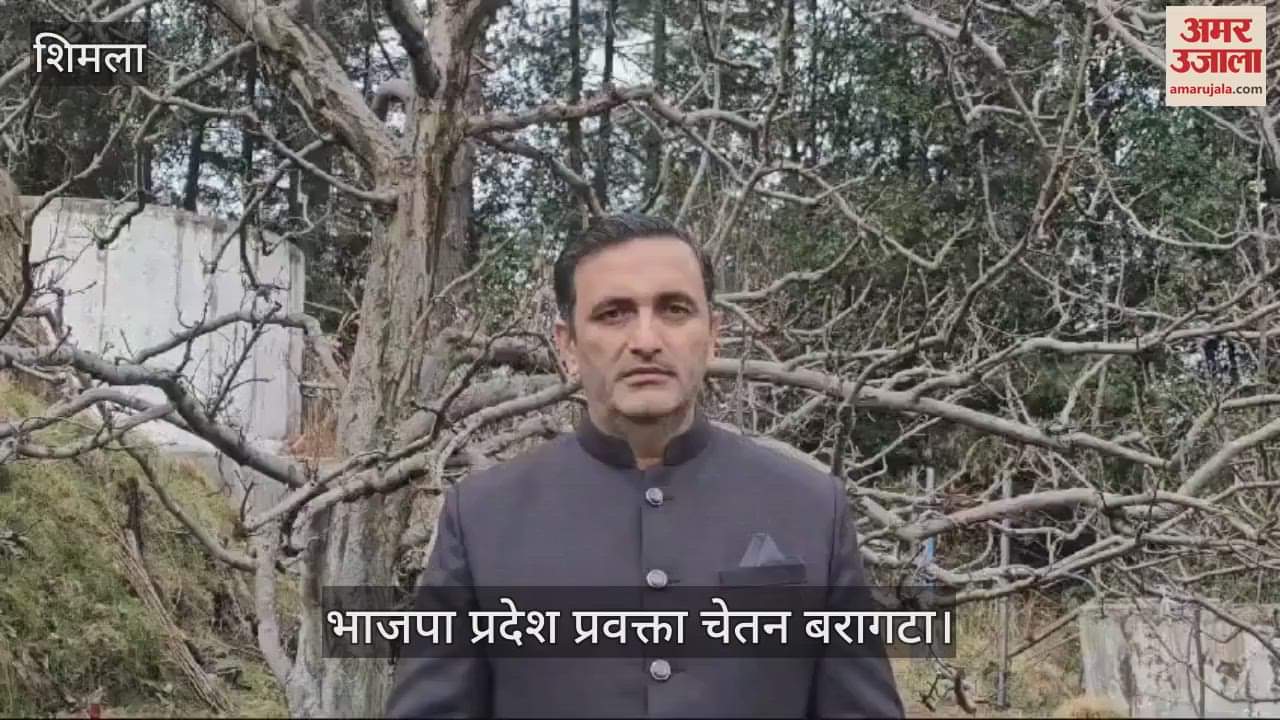 VIDEO : Chetan Bragta said- apple plants are coming from abroad without any investigation and quarantine,