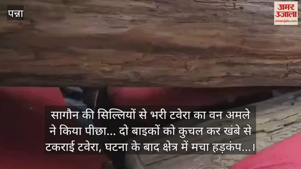 Panna News: Teak wood smugglers' car collided while trying to escape