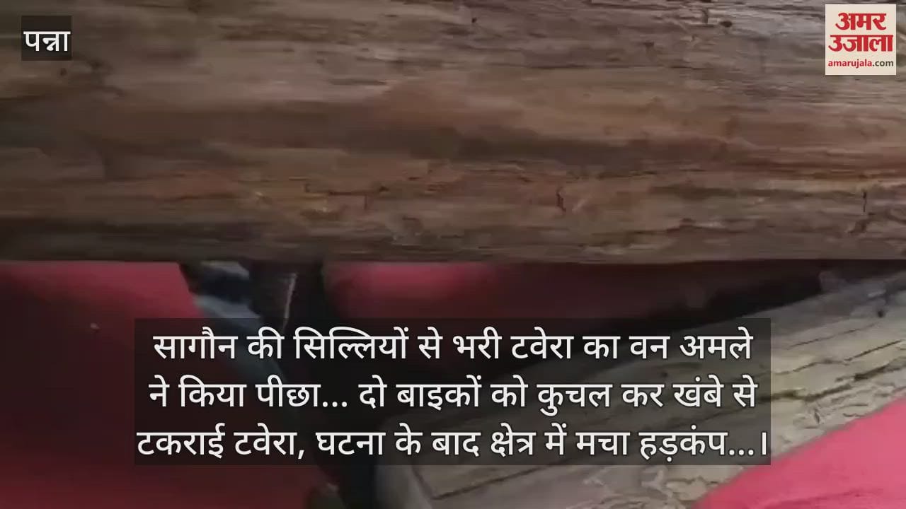 Panna News: Teak wood smugglers' car collided while trying to escape