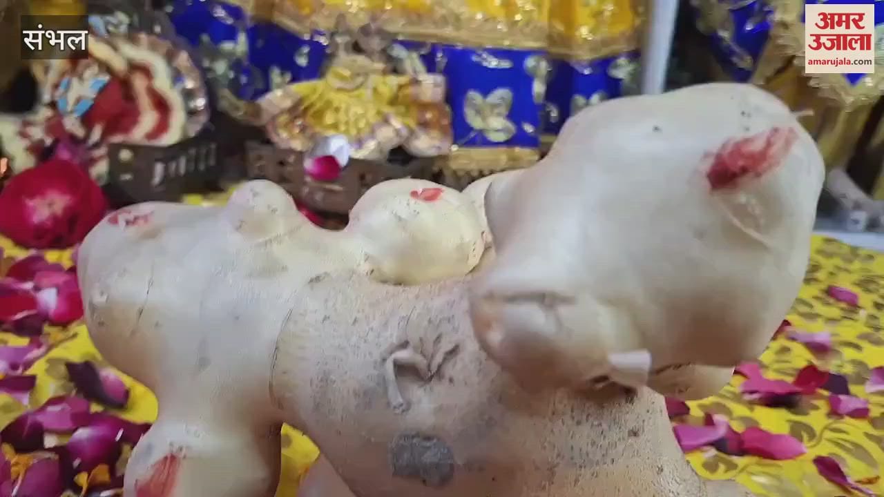 VIDEO : People saw a religious figure in a potato and kept it in a temple to have darshan