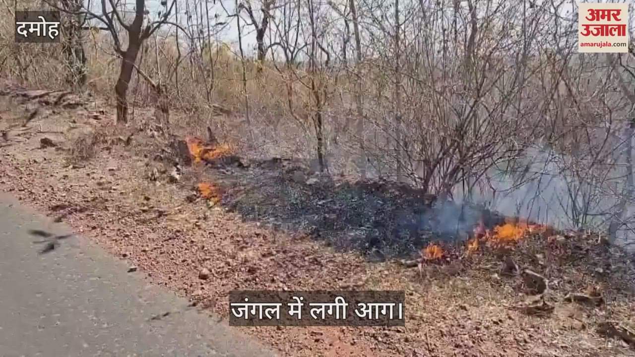 A huge fire broke out in the forest of Tendukheda