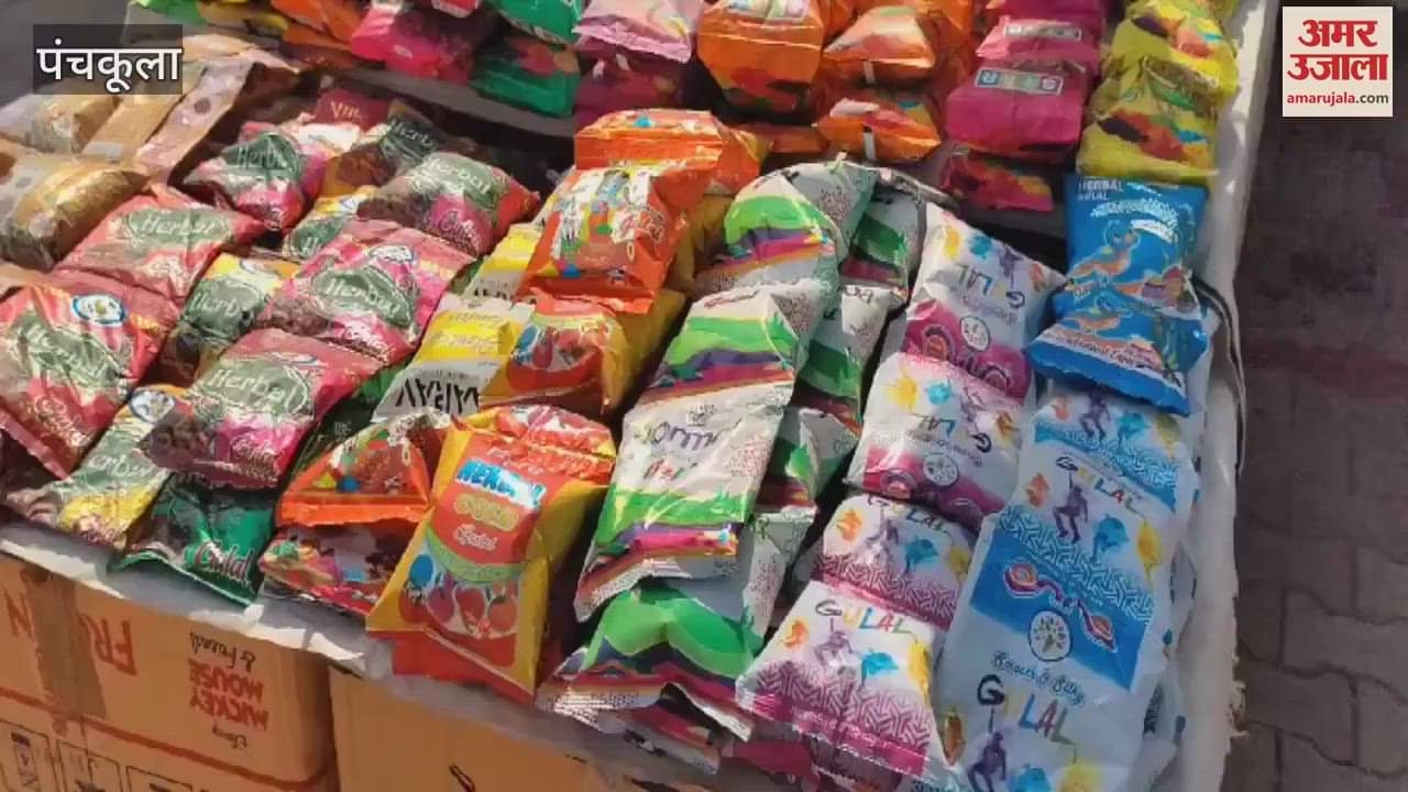 VIDEO : Markets decorated for Holi in Panchkula