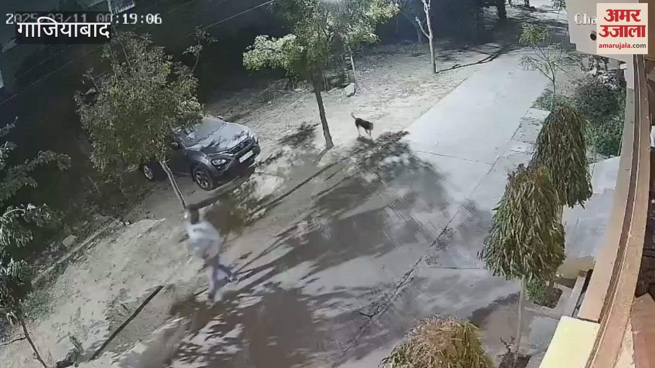 VIDEO : A person wearing a helmet set a car on fire in Hapur