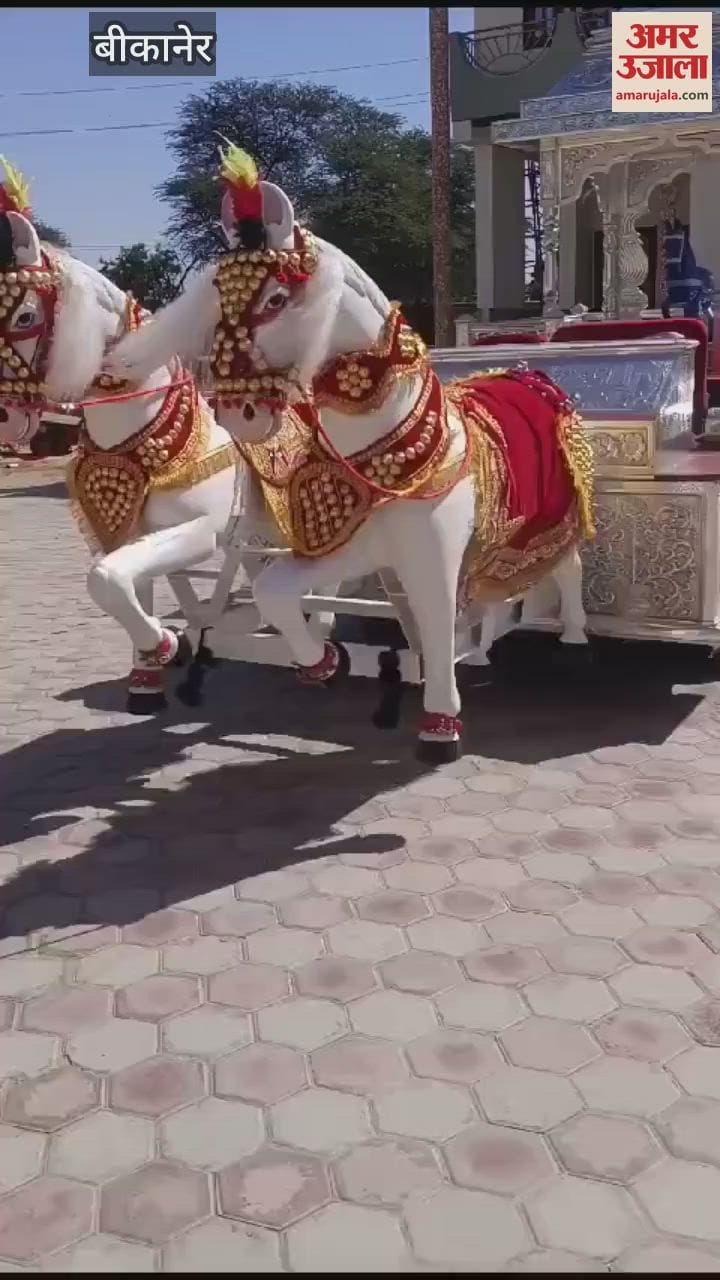 Bikaner: Khatu Shyam's divine chariot built at a cost of one crore, enthusiasm among devotees