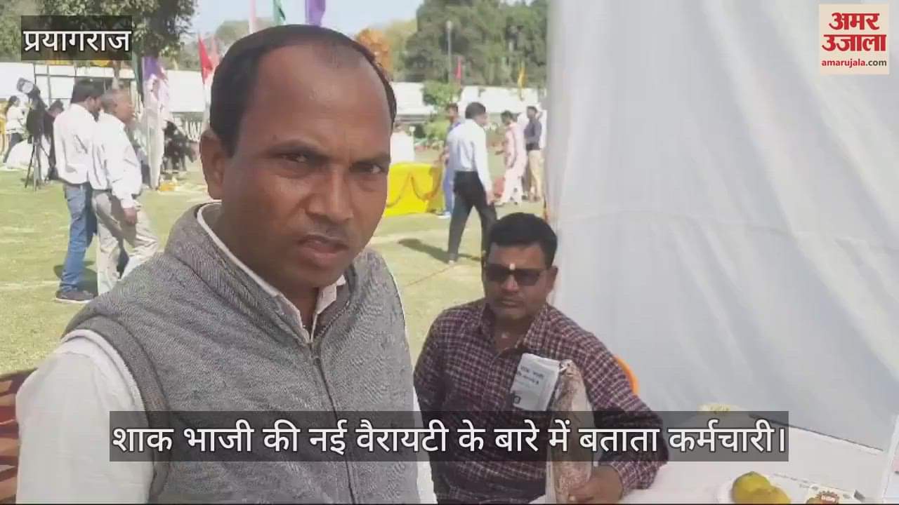 VIDEO : Vegetable exhibition was organised in Azad Park, many varieties of cabbage, tomato and brinjal were available