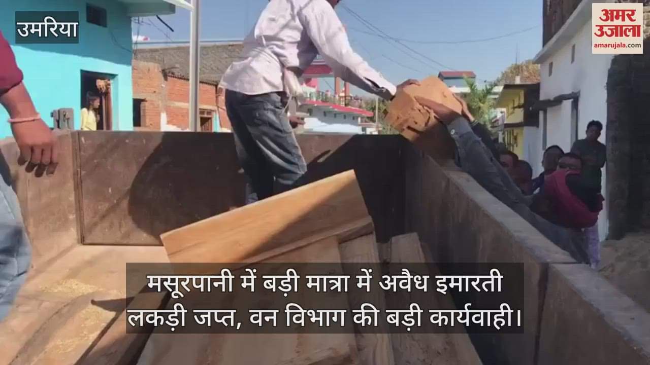 Umaria News: Illegal timber seized in Forest Department action in Masurpani