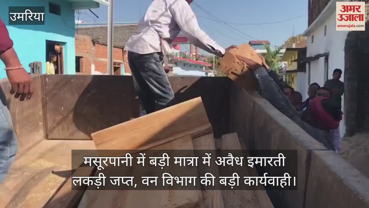 Umaria News: Illegal timber seized in Forest Department action in Masurpani