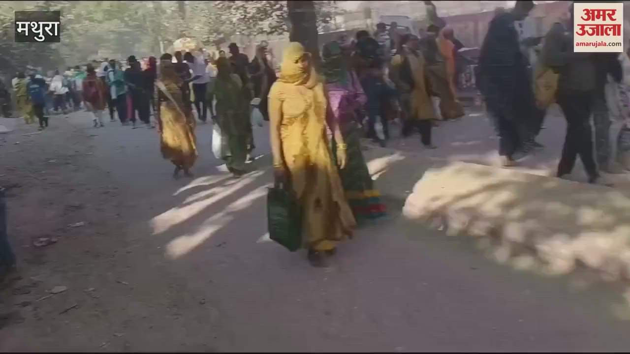 VIDEO : wave of faith surged on Rang Bharni Ekadashi, Vrindavan was packed with devotees