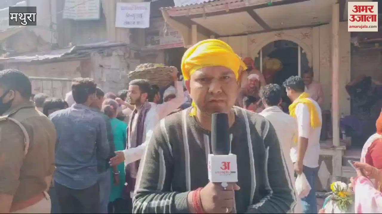 VIDEO : colors of faith are being spread in Thakur Bankebihari temple hence Rangbharni Ekadashi has special importance