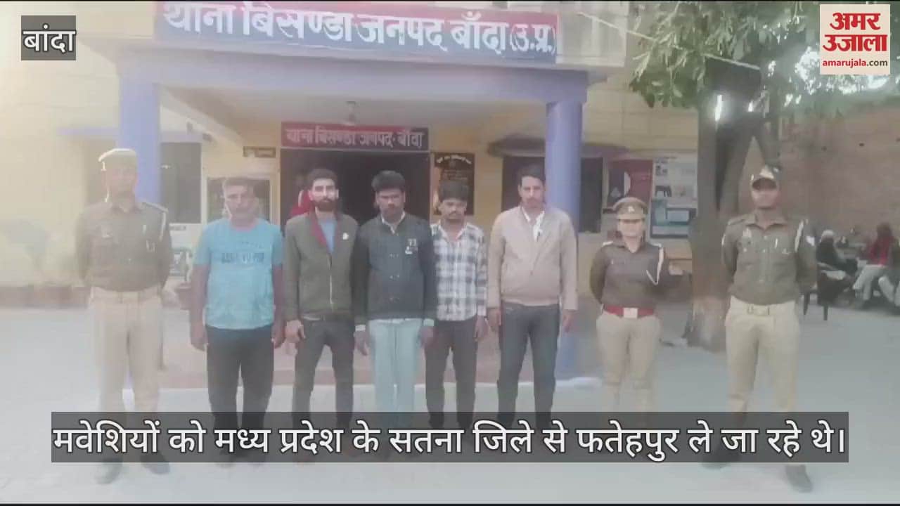 VIDEO : 18 buffaloes and 32 calves recovered from truck and DCM in Banda, five arrested