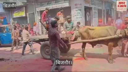 VIDEO : Colours were played on the day of Ekadashi in Afzalgarh of Bijnor, Huriyars took out a colour procession with drums