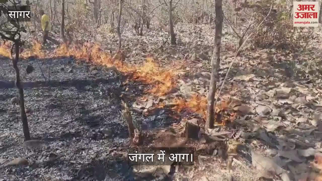 Fire broke out in Jaisinghnagar forest area in Sagar