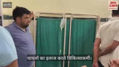 Nagaur News Bees attack during cremation more than 100 people injured treatment going on