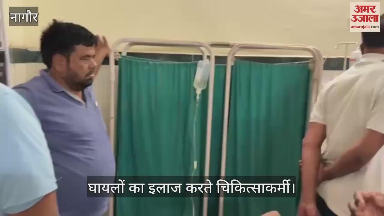 Nagaur News Bees attack during cremation more than 100 people injured treatment going on