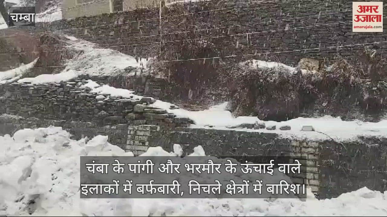 VIDEO : Snowfall in the high altitude areas of Pangi and Bharmour of Chamba, rain in the lower areas
