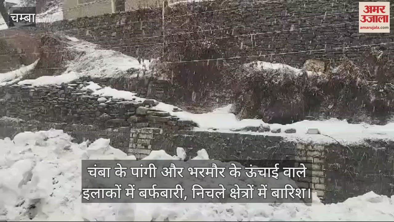 VIDEO : Snowfall in the high altitude areas of Pangi and Bharmour of Chamba, rain in the lower areas