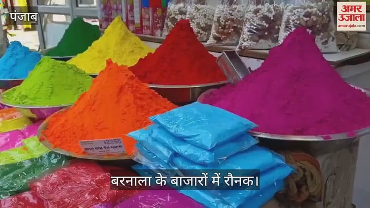 बरनाला में होली पर सजे बाजार, ग्राहकों की भीड़, दुकानदार भी खुश
